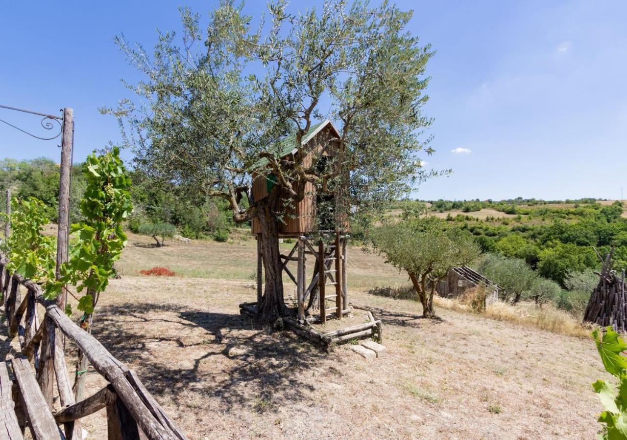 Agriturismo Torre Gialluise Gesualdo Exteriör bild